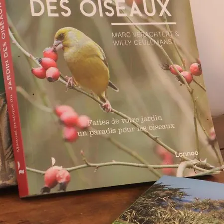 Charmante Longere Avec Jardin Et Terrasse, Proche De Saint-fraimbault, Wifi Inclus - Fr-1-497-246 בית נופש