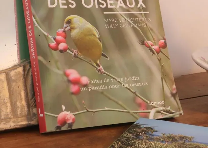 Charmante Longere Avec Jardin Et Terrasse, Proche De Saint-fraimbault, Wifi Inclus - Fr-1-497-246 Casa vacanze